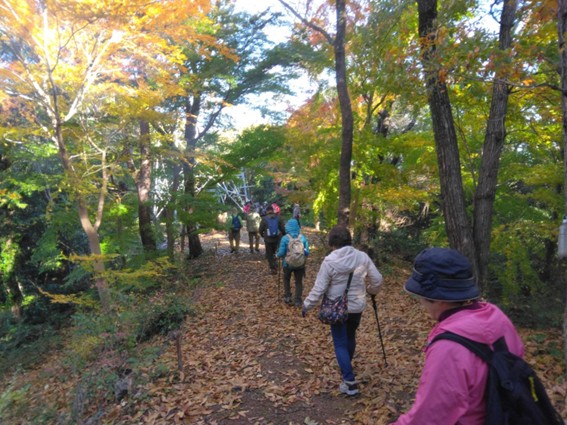 晩秋の立江新四国八十八ヵ所健康ウォーク